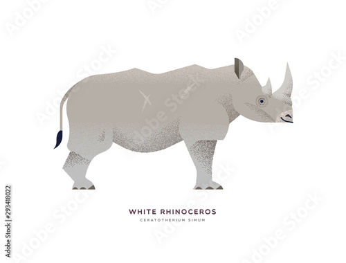 White rhino wild animal on isolated background