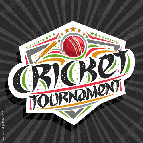 Vector logo for Cricket Tournament, modern emblem with hitting ball in goal, original brush typeface for words cricket tournament, sports shield with stars in a row on grey abstract background.