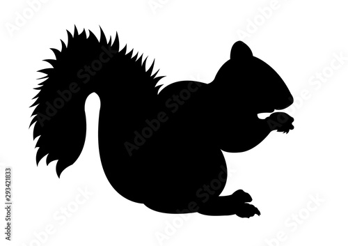 Squirrel black silhouette vector illustration