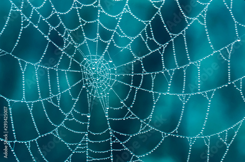 Spider web with dew drops in closeup with a blue background