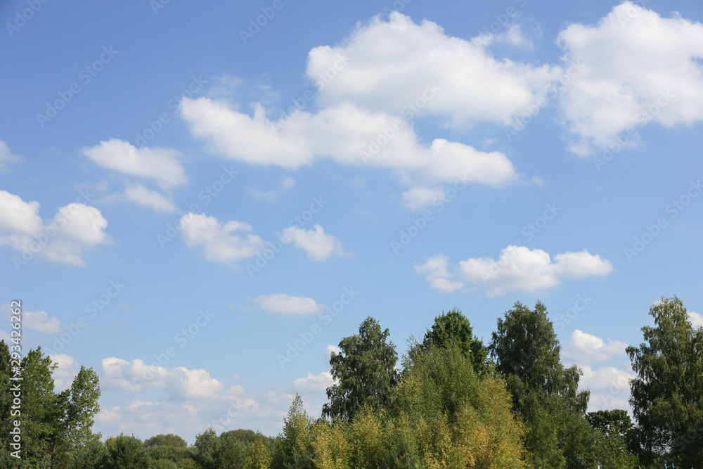 sunset over green meadow and trees in cloudy sky 