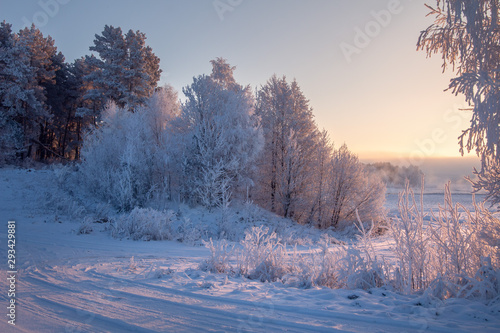 Winter morning. Winter nature in sunlight. Frosty and snowy trees. Christmas © dzmitrock87