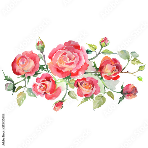 Red rose bouquet floral botanical flowers. Watercolor background set. Isolated bouquets illustration element.
