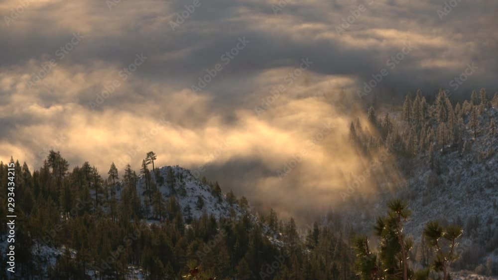Beautiful golden lit cloud inversion in the mountains with light shadows in the trees Beautiful golden lit cloud inversion in the mountains with light shadows in the trees