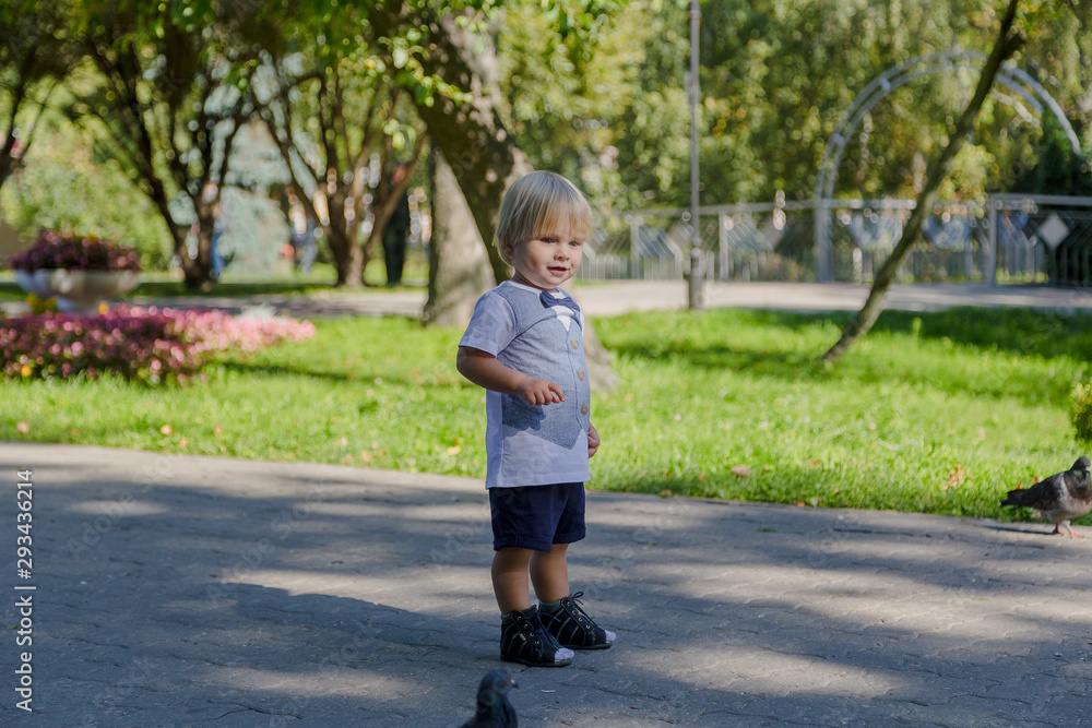 Little boy surrounded by pigeons in the park. Little boy surrounded by pigeons in the park.
