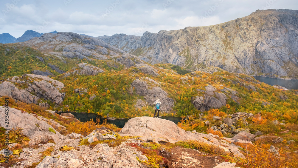 woman tourist photographs a mountain landscape with a golden autumn  on a trekking to the top of Stjertinden Mountain and the town of Nusfjord  in Norway on the Lofoten Islands