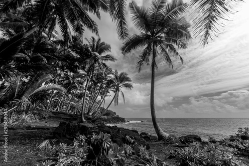Big Island, Hawaii B&W