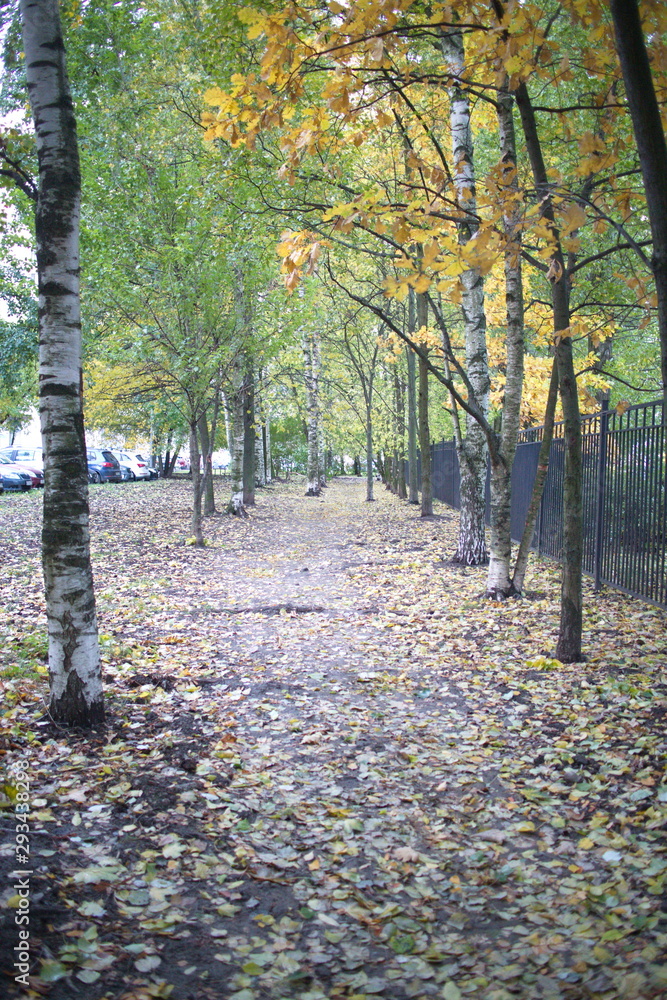 Walkway in the park on an autumn cloudy day Walkway in the park on an autumn cloudy day