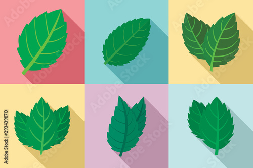 Mint icons set. Flat set of mint vector icons for web design