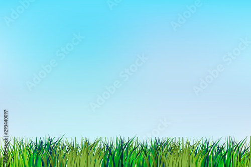 Grass render vector background template