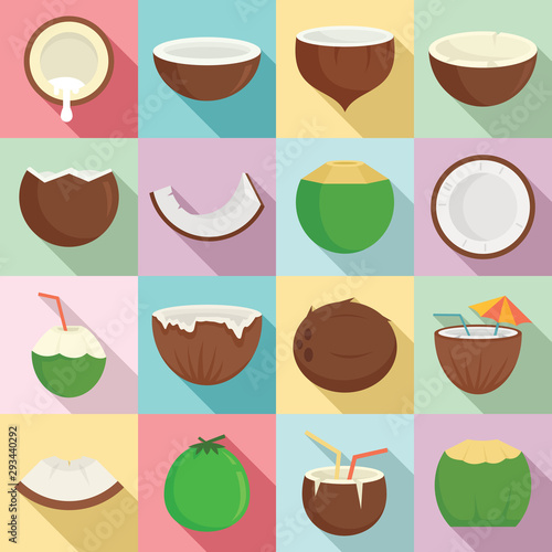 Coconut icons set. Flat set of coconut vector icons for web design