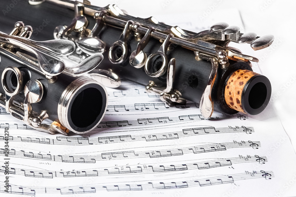 Obraz premium clarinet on a white background