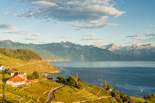 Scenery view of vineyards of the Lavaux region over Leman lake (Geneva Lake) with French Alps, blue sky and white clouds, Switzerland