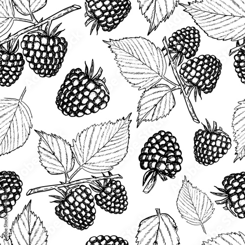 raspberry seamless pattern vintage style vector illustration