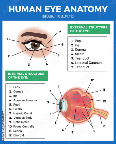 Eye Care Poster