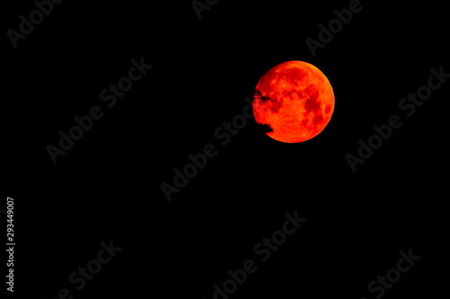 Fototapeta Naklejka Na Ścianę i Meble -  Moon/Sun