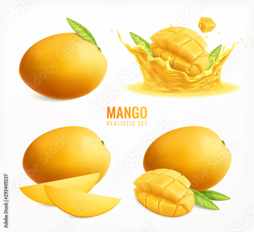 Mango Fruits Realistic Set