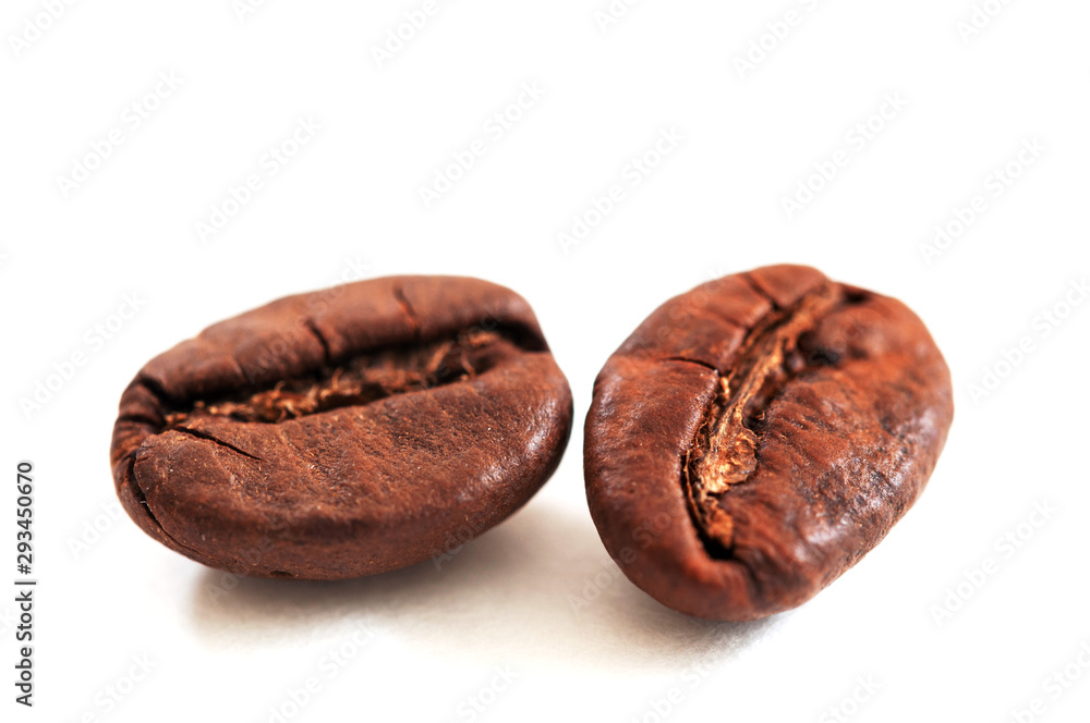 two coffee beans on white background two coffee beans on white background