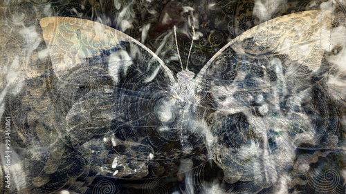 grunge butterfly texture 