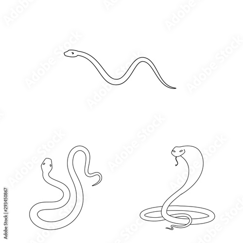 Isolated object of poison and evil symbol. Set of poison and bite vector icon for stock.