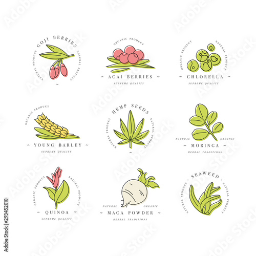 Superfoods line vector icons. Berries, powder, vegetables or fruits and seeds. Organic superfoods for health and diet. Detox and weightloss supplements.