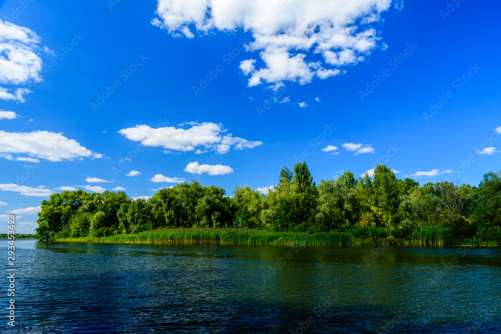 Summer landscape with the green trees and river Summer landscape with the green trees and river
