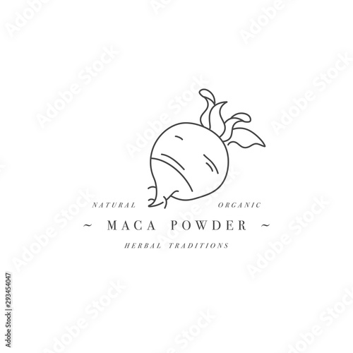 Vector design element and icon in linear style - maca powder - healthy eco food. Organic ingredient. Detox supplements. Logo sign.
