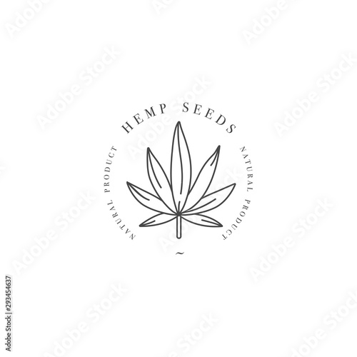 Marijuana leaf. Medical cannabis. Hemp oil. Cannabis extract. Icon product label and logo graphic template. Isolated vector illustration © oxygen_8
