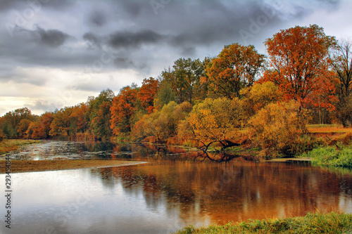 Orange autumn trees on riverbank. Golden Autumn Landscape
