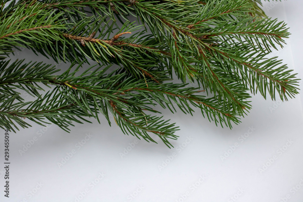 Spruce branch isolated on white background. Green fir. Christmas tree Spruce branch isolated on white background. Green fir. Christmas tree