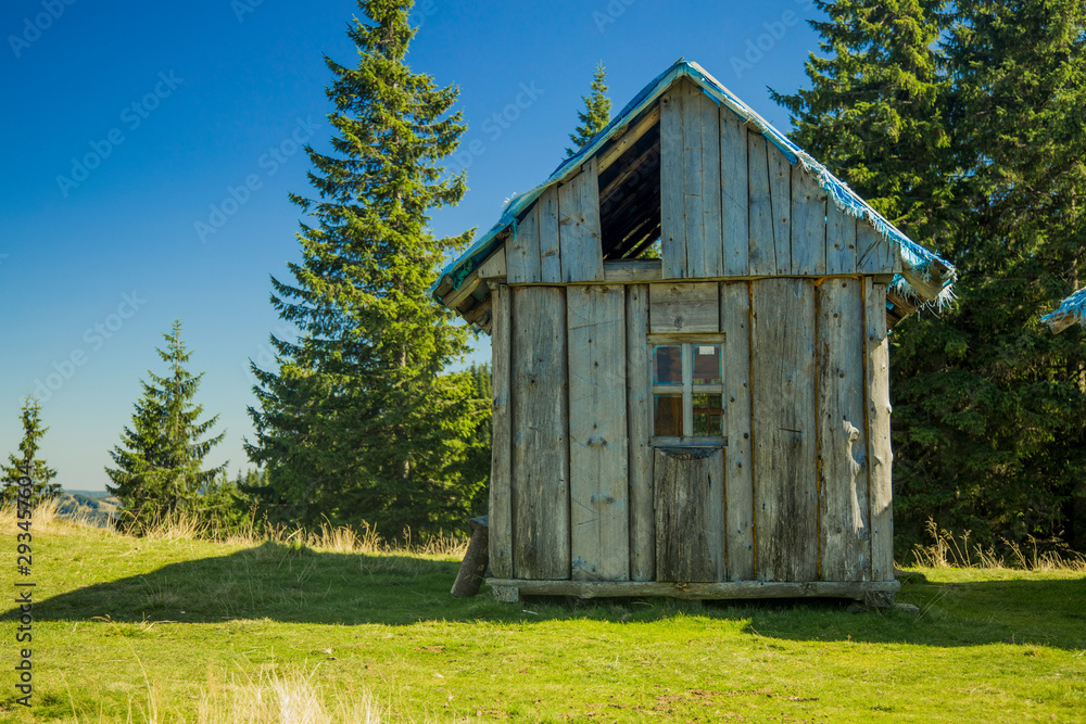 Obraz premium abandoned wooden house in Switzerland highland mountain scenic landscape environment with spruce trees and blue sky background 