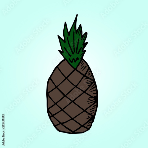 Hand drawn tropical and exotic fruit isolated on blue background in unique trendy organic style. Vector illustration for menu design, packaging, cooking book.