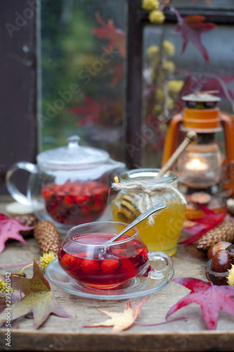 hot tea with rose hips, autumn, rain 