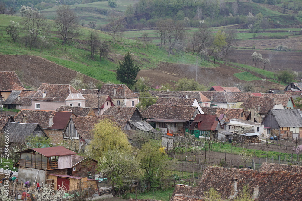 custom made wallpaper toronto digitalBirthälm, Biertan, Siebenbürgen