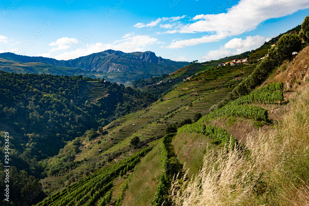 Idyllic view of vineyards on hills against blue sky Idyllic view of vineyards on hills against blue sky