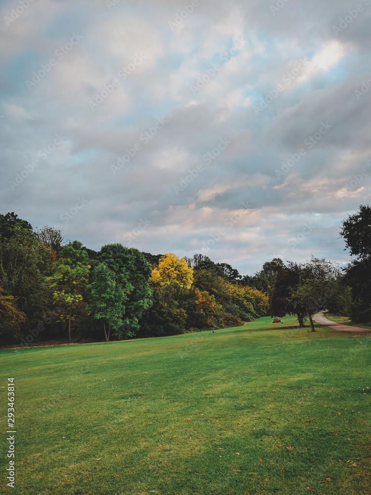 Autumn in a park Autumn in a park