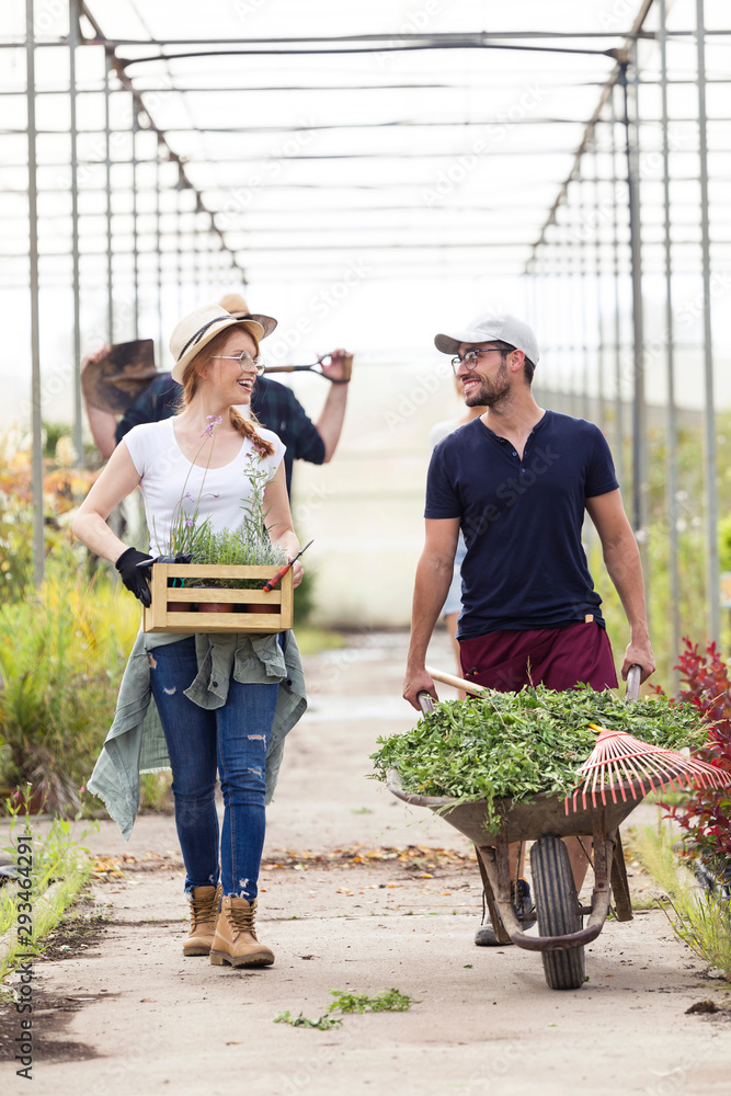 Smiling man and woman transporting plants with a wheelbarrow and wooden ...