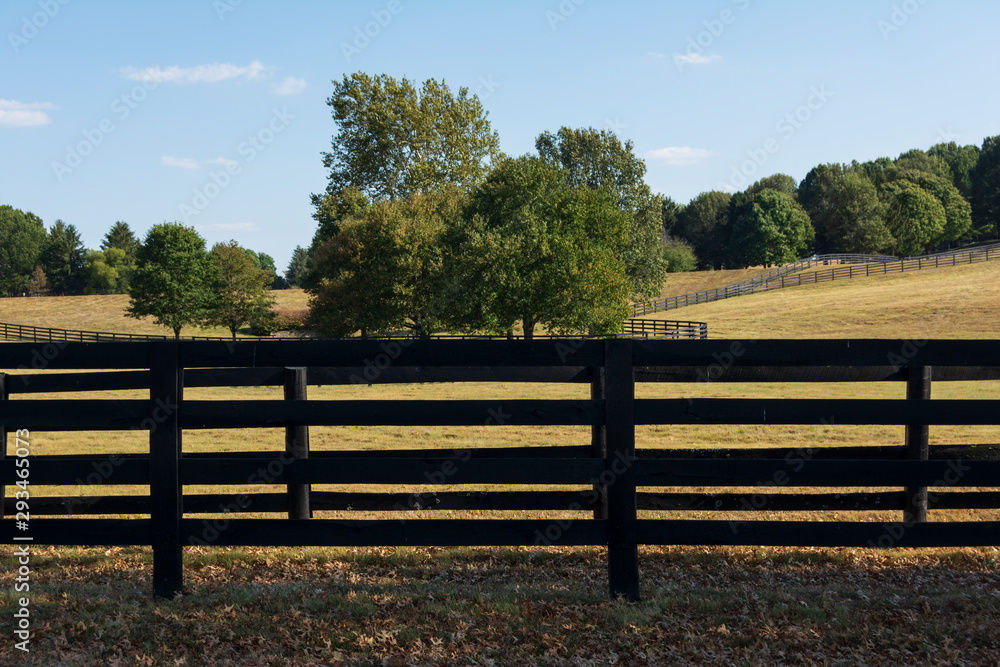 Blackboard fence