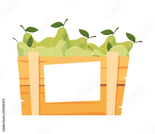Isolated pears box fruit vector design