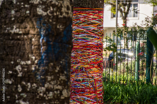 Tree with colourful ribbons