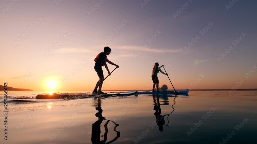 SUP of two young people and a dog at sunset SUP of two young people and a dog at sunset
