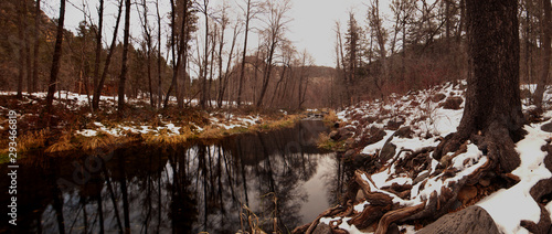 Oak creek in winter