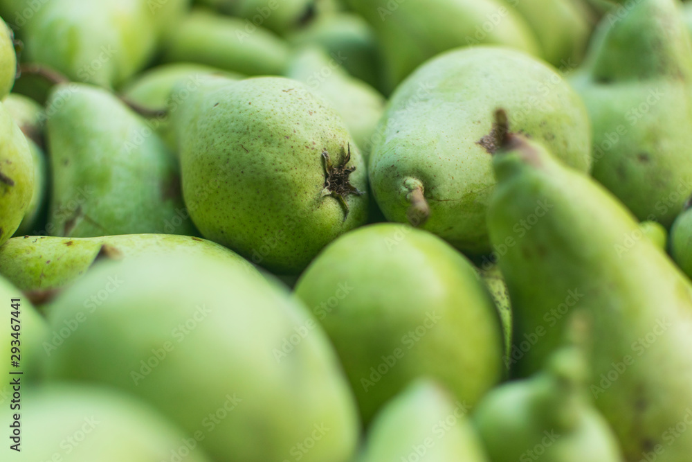 Selective focus and full frame photography of freshly picked green pears Selective focus and full frame photography of freshly picked green pears