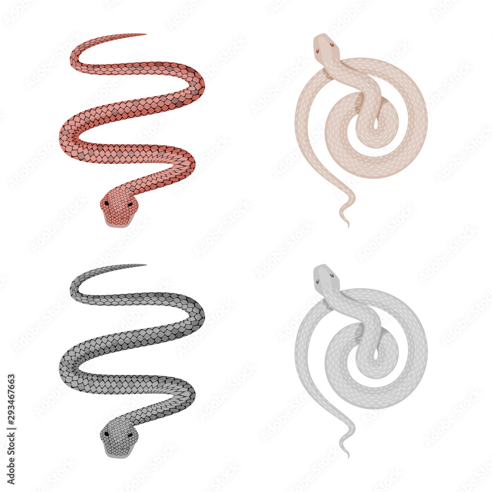 Vector illustration of mammal and danger symbol. Set of mammal and medicine vector icon for stock. Vector illustration of mammal and danger symbol. Set of mammal and medicine vector icon for stock.
