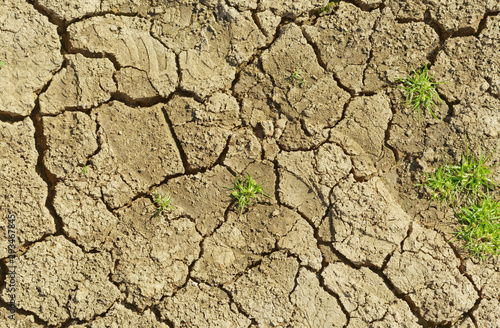 Dried lake bottom and cracks on the ground as water draw down during the summer at Belgrad Forest Lake in Turkey.
