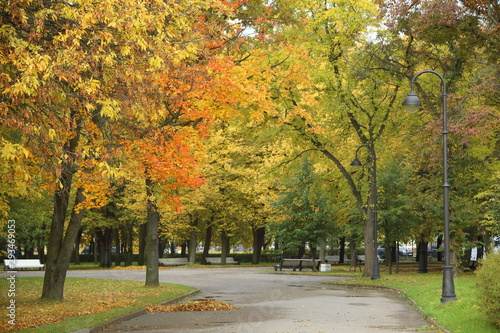 autumn in the park