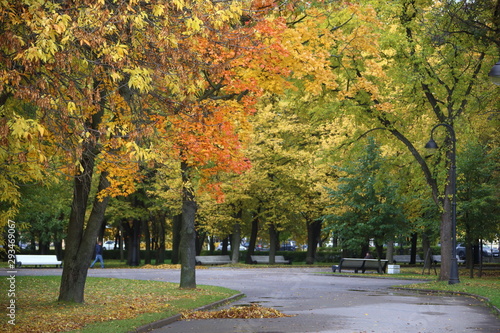 autumn in the park