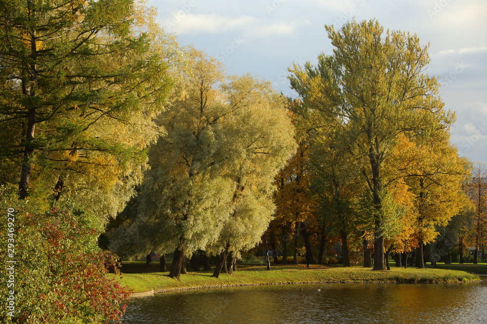 autumn in the park