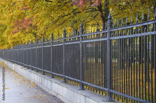 autumn in the park