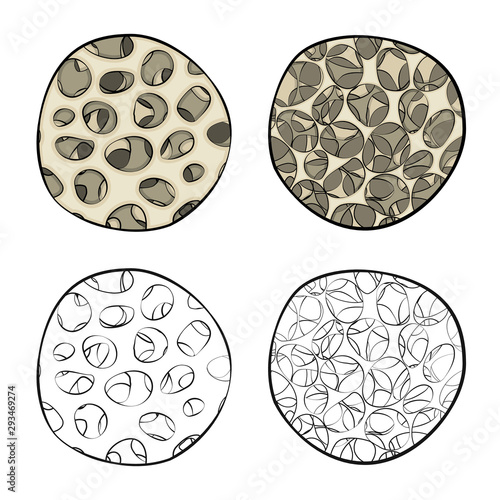 Vector design of medicine and clinic icon. Set of medicine and medical vector icon for stock.